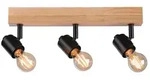 PAULMANN Spotlights Arvid max3x20W E27 Sz Holz