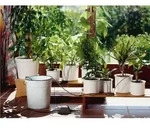 GARDENA city gardening Urlaubsbew&auml;sserung ohne Beh&auml;lter