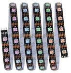 PAULMANN EntertainLED Strip Set 3m 5W 12V DC