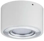 PAULMANN WallCeiling Argun LED 1x4,8W Wei&szlig; Alu geb&uuml;rstet 230V Metall