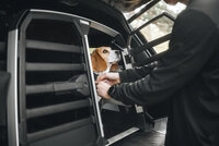 Thule Sweden AB Thule Allax Double L Compact Premium Hundebox -770024