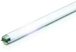Philips Leuchtstoffr&ouml;hre MASTER TL-D Super 80 - T8, 865 Tageslicht - 36W (1200mm)