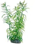 Hobby Heteranthera - 25 cm - k&uuml;nstliche Aquariumpflanze