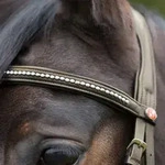 Kieffer Trensenzaum Ultrasoft - braun - Warmblut