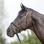 Kieffer Trensenzaum Ultrasoft - schwarz - Warmblut