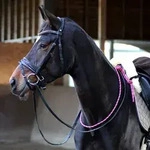 EQuest Balance Z&uuml;gel Pro, pink / schwarz - 80 cm - erleichtern dem Pferd die