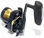 Daiwa Saltiga 24 G 15L