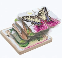 BELEDUC 17054 Lagen-Puzzle Schmetterling