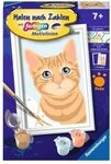 RAVENSBURGER 23756 Malen nach Zahlen - Niedliche Katze
