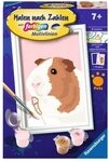 RAVENSBURGER 23758 Malen nach Zahlen - Niedliches Meerschweinchen