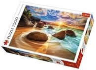 TREFL 10461 Samudra Beach, India
