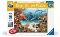 RAVENSBURGER 13411 Kinderpuzzle 150 XXL Teile - Wieso? Weshalb? Warum? Meerestiere am