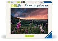 RAVENSBURGER 12000793 Puzzle 1000 Teile Ein Sturm zieht auf