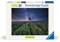 RAVENSBURGER 12000799 Puzzle 1000 Teile Nachthimmel &uuml;ber dem Kornfeld