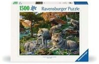 RAVENSBURGER 12000719 Puzzle 1500 Teile Wolfsrudel im Fr&uuml;hlingserwachen