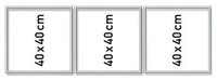 SCHIPPER 605270766 MNZ - Malen nach Zahlen Alurahmen Tritpychon 120 x 40 cm - Silber