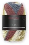Pro Lana Fjord 100g 0,5kg Farbe 93 Norwegenmuster