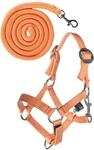 HKM Hobby Horsing Halfter und Strick orange