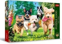 TREFL 10800 Puzzle 1000 Teile Premium Plusea Time: &Auml;rger im Anmarsch!