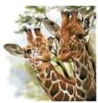 DIAMOND DOTZ DD8017 Diamond Painting Giraffen - Ge&uuml;bte