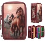 DEPESCHE 0013680 Miss Melody 3 Fach Federtasche DREAMLAND