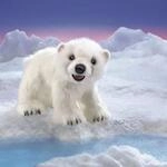 Folkmanis Handpuppe Eisb&auml;renjunges