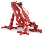 PAPO 50315 WILDTIERE DER WELT Frosch mit Kopf nach oben