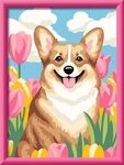 Ravensburger 12023129 CreArt, Malen nach Zahlen Kinder - Corgi im Bl&uuml;tenmeer