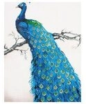 Pracht Diamond Dotz Blauer Pfau