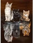 PRACHT Diamond Painting Drei Katzen 40x30cm
