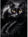 Pracht Diamond Painting Schwarze Katze (Design 25x35cm)