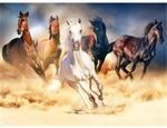Pracht Diamond Painting Galoppierende Pferde (Design 25x35cm)