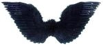 Widmann Halloween Fl&uuml;gel schwarz, ca. 86 x 31 cm, mit Federn