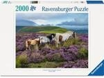Ravensburger 12001751 Erwachsenenpuzzle 2000 Teile - Wildpferde in der Heide