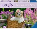 Ravensburger 12001731 Erwachsenenpuzzle 100 XL-Teile - S&uuml;&szlig;er kleiner Hund