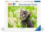 Ravensburger 12000367 Erwachsenenpuzzle 500 Teile - K&auml;tzchen in der Wiese