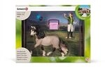 SCHLEICH 42270 Pferdepflegeset, Andalusier