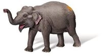 RAVENSBURGER 000409 tiptoi&reg; Asiatischer Elefant