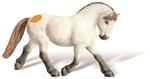 RAVENSBURGER 000399 tiptoi&reg; Camargue Hengst