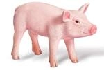 Ravensburger tiptoi Spielfigur Ferkel