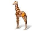 RAVENSBURGER 000359 tiptoi&reg; Giraffenjunges