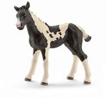 SCHLEICH 13803 Pinto Fohlen