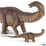 PAPO 55039 Apatosaurus