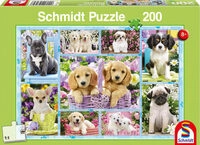 SCHMIDT SPIELE 56162 Welpen, 200 Teile