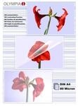 Olympia Laminierfolien 100er DIN A4, 80 Mic