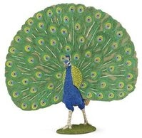PAPO 51161 Pfau