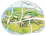 Beleduc Lagenpuzzle Frosch, 28 Teile