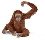 SCHLEICH 14775 Orang-Utan Weibchen
