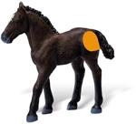 Ravensburger tiptoi Lipizzaner Hengst Fohlen