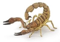 PAPO 50209 Skorpion